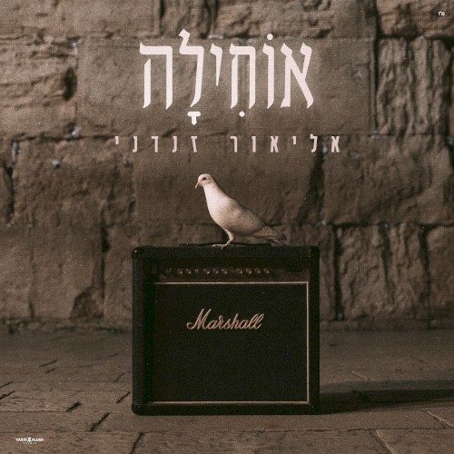 אוחילה