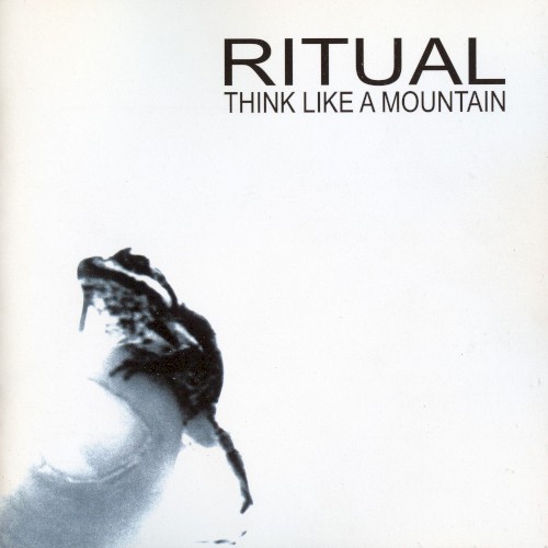 Think Like a Mountain