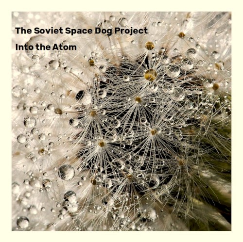 Into the Atom