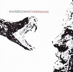 Powersnake