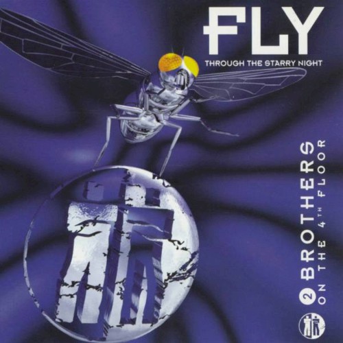 Fly (Through the Starry Night)