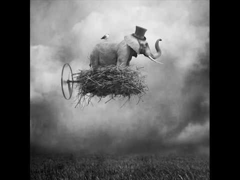Don't forget to fly