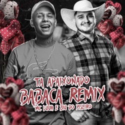 Ta Apaixonado Babaca (Remix)