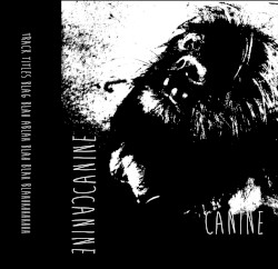 Canine