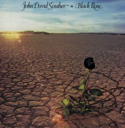 Black Rose