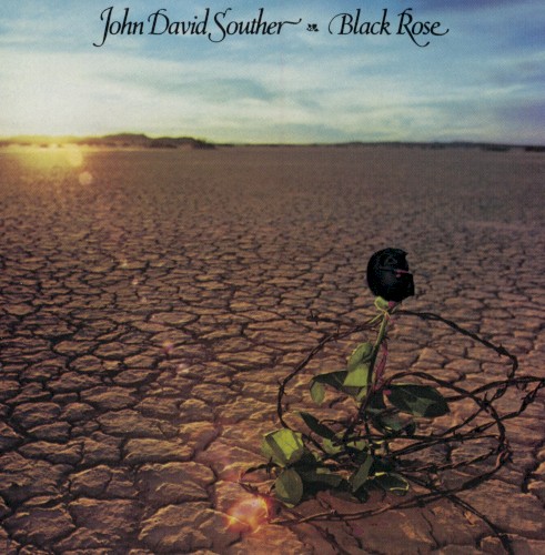 Black Rose