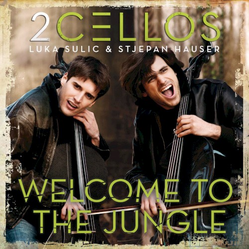 Welcome to the Jungle
