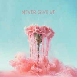 Never Give Up