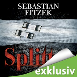 Splitter
