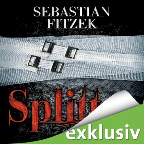 Splitter