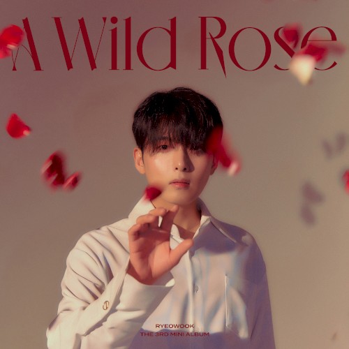 A Wild Rose