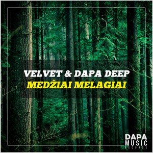 Medžiai melagiai