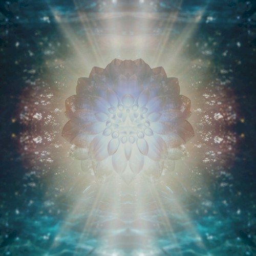Bloomphase
