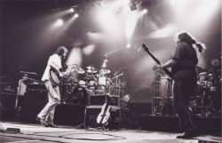 Memphis 2000 (11/24/2000)