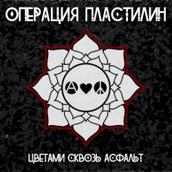 Цветами сквозь асфальт
