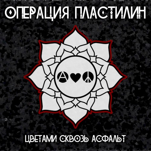 Цветами сквозь асфальт