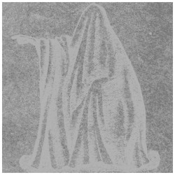 Split Album