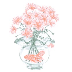 Goldfish