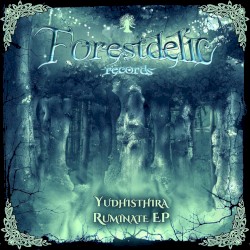 Ruminate EP