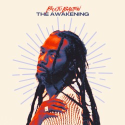 The Awakening