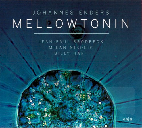 Mellowtonin