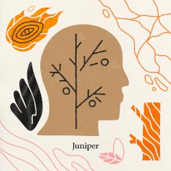 Juniper