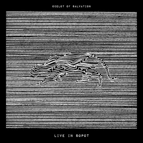 Ocelot of Salvation | Live in Sopot