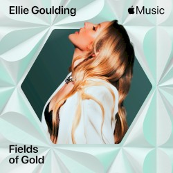 Fields of Gold
