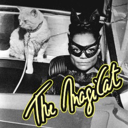 The Magicat