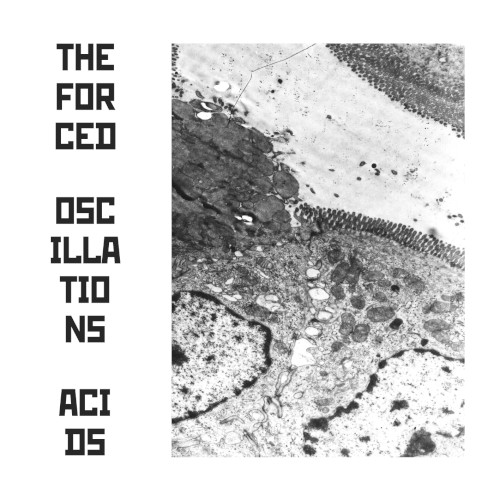 Acids