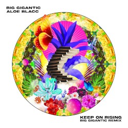 Keep on Rising (Big Gigantic remix)
