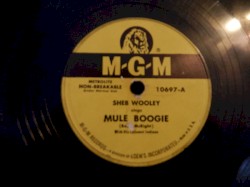 Mule Boogie / Changing Your Name