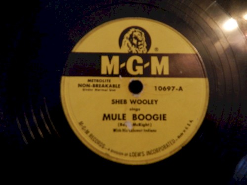 Mule Boogie / Changing Your Name
