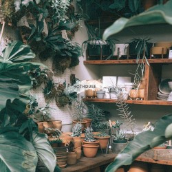 Hothouse