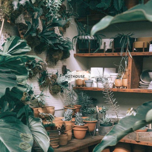 Hothouse