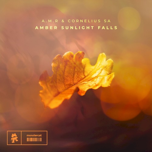 Amber Sunlight Falls