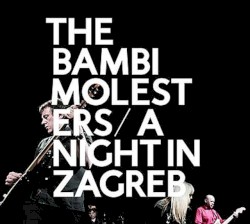 A Night in Zagreb