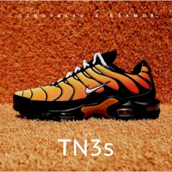 TN3s