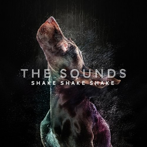Shake Shake Shake