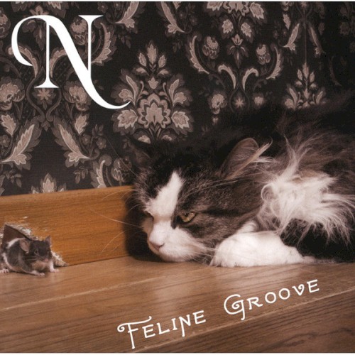 Feline Groove N