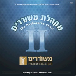 The Meshorerim Choir II