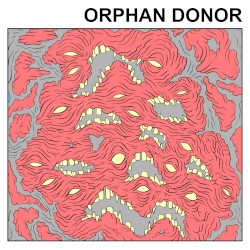 Orphan Donor