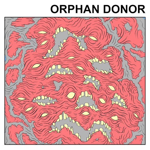 Orphan Donor