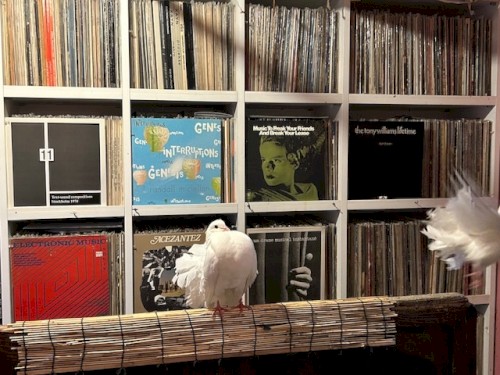 2025-11-13: NTS Radio