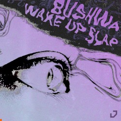 Bushwa / Wake Up Slap
