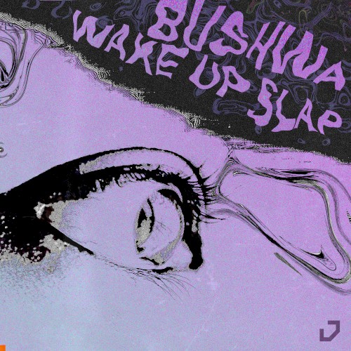 Bushwa / Wake Up Slap