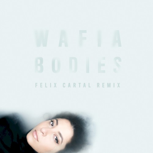 Bodies (Felix Cartal remix)