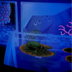 Riveting Ribbiting
