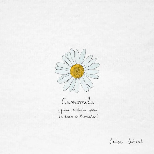 Camomila