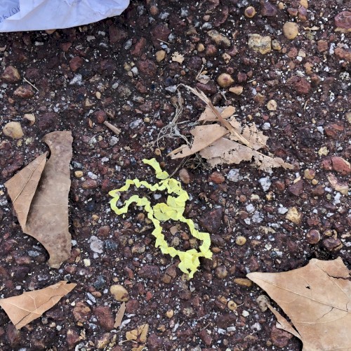 two demos